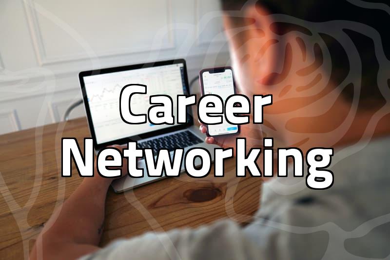 Using LinkedIn for Professional Networking and Job Discovery