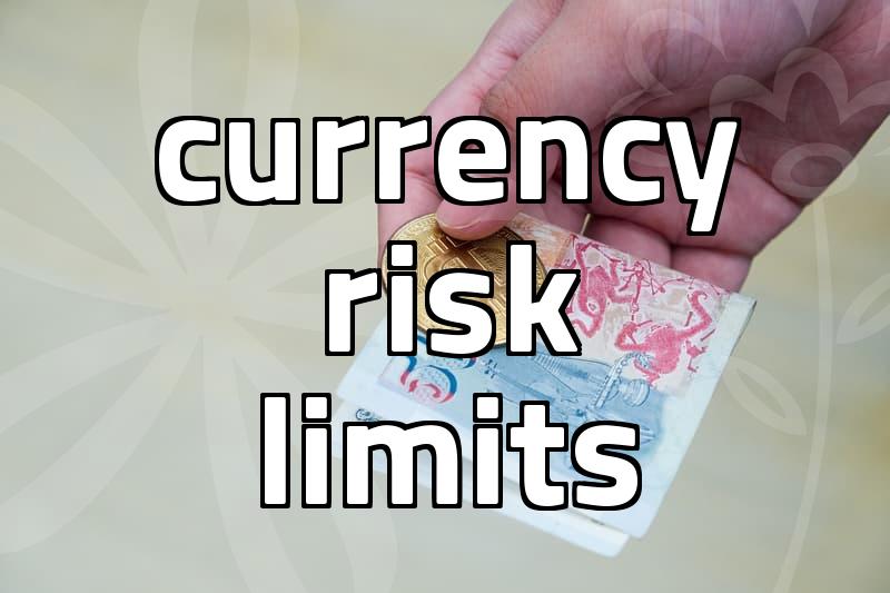 Global portfolio construction methods and currency risk limits