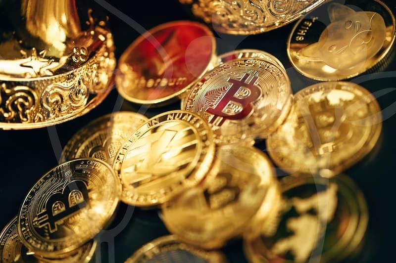 GoogleEmployment career paths