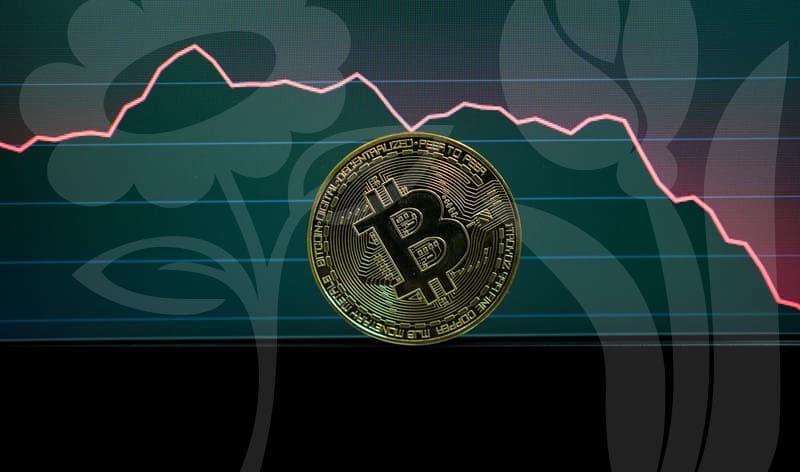 US Stocks and FX for Investors