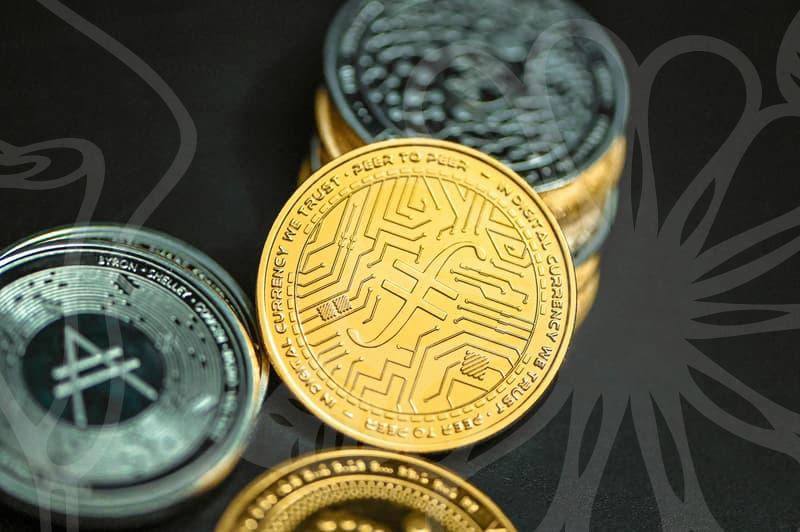 Logitech webcam for career success