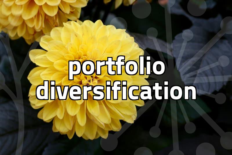ETF투자 basics and how to manage portfolio risks