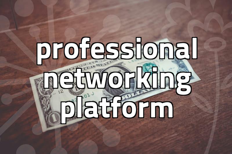 LinkedIn professional networking effectiveness