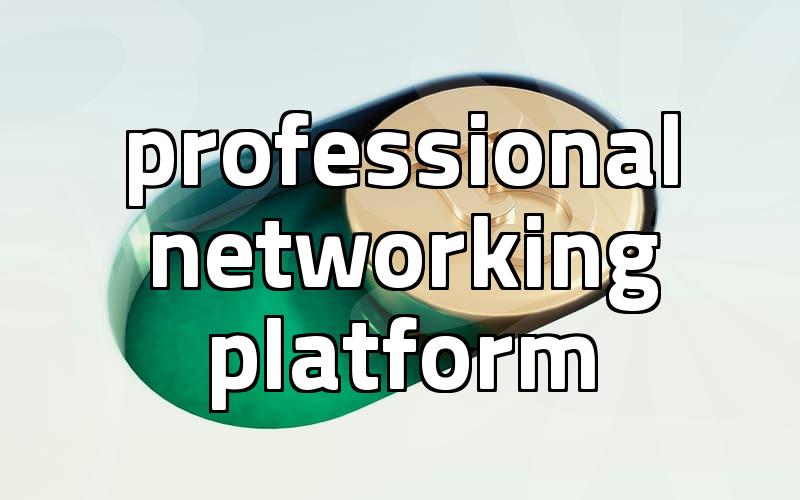 LinkedIn professional profile optimization and networking strategies