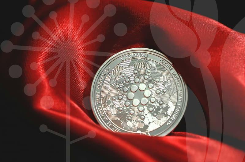 How to write an English resume well