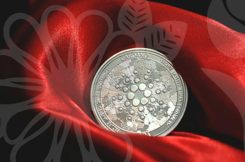 How to Write a Personal Statement