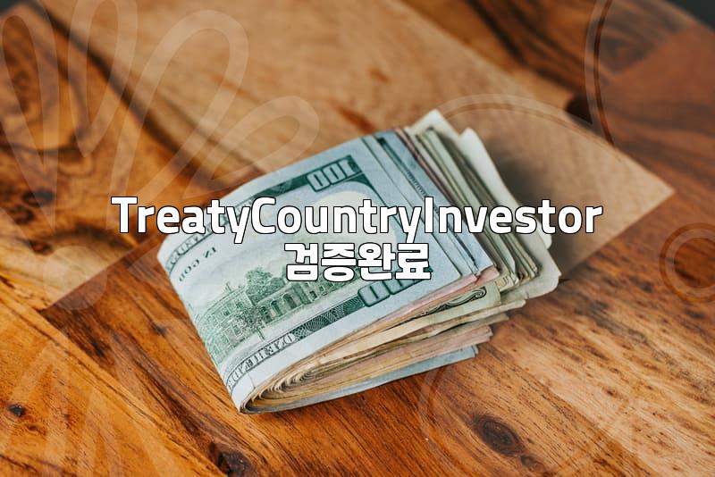 The Realities of the E2 Visa: Beyond the Hype