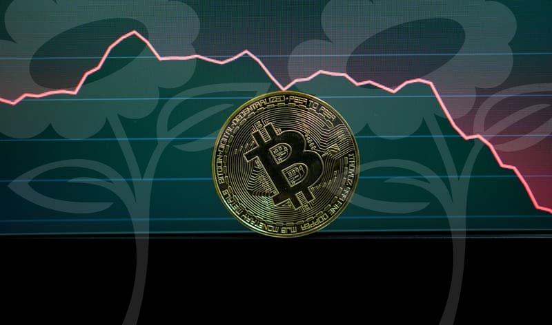 Is K-MOVE School worth the time