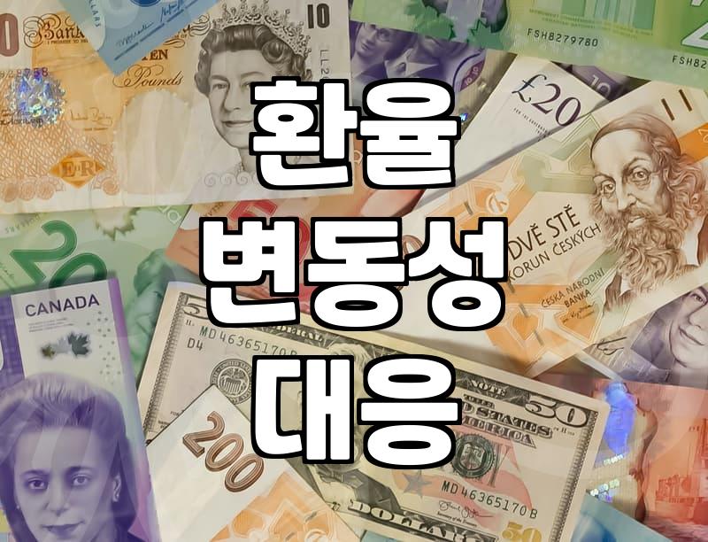 환율 급등락기 외환 시장에서 알아두어야 할 점들