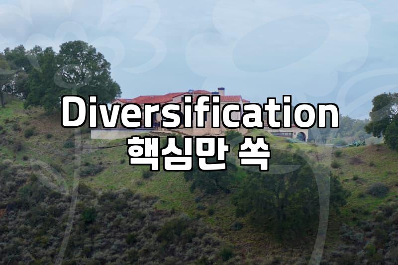 Building a Global Portfolio: A Pragmatic Approach