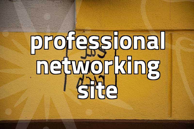 LinkedIn career networking and how it functions