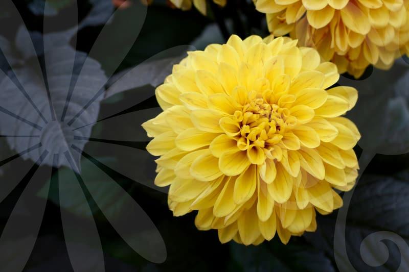 How a Global Portfolio Holds Up