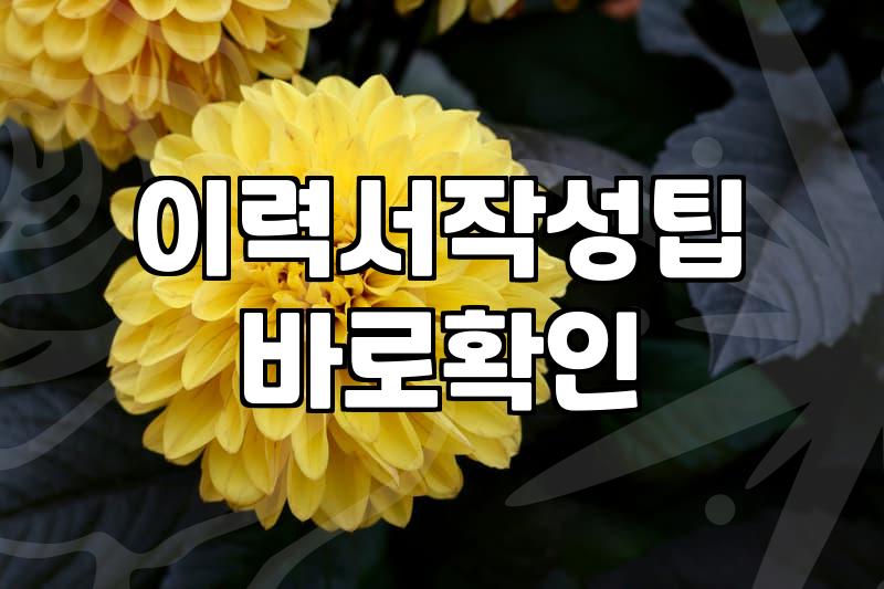 요즘 이력서와 자기소개서 다듬는 현실적인 방법들