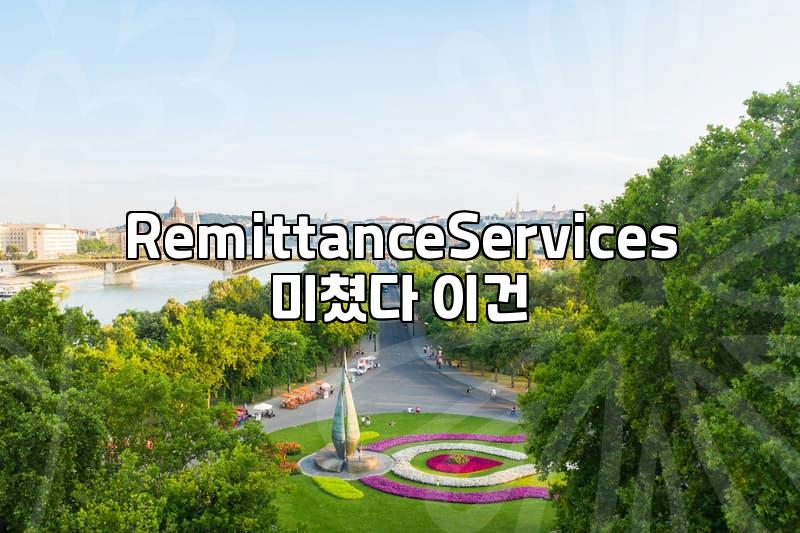 Navigating US Remittance: Key Considerations for Investors