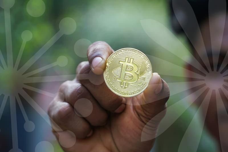 Australian Visa Application: Career Prospects