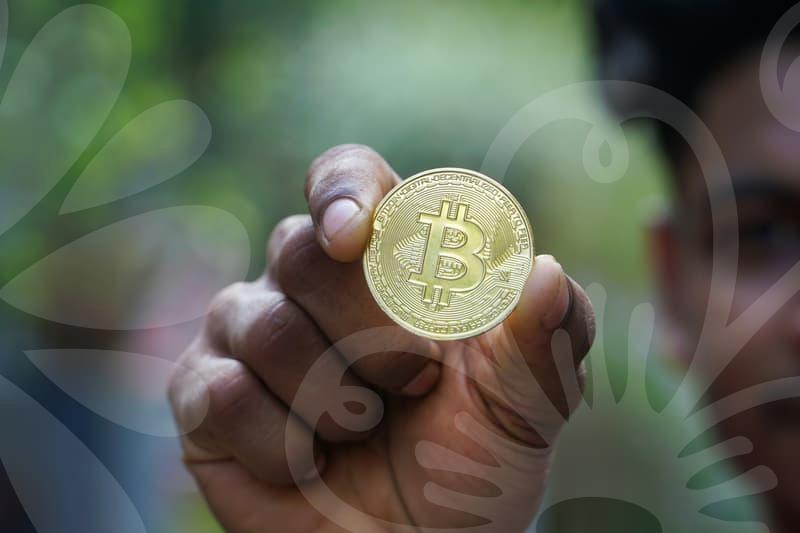 European Stocks: A Savvy Investor’s Guide