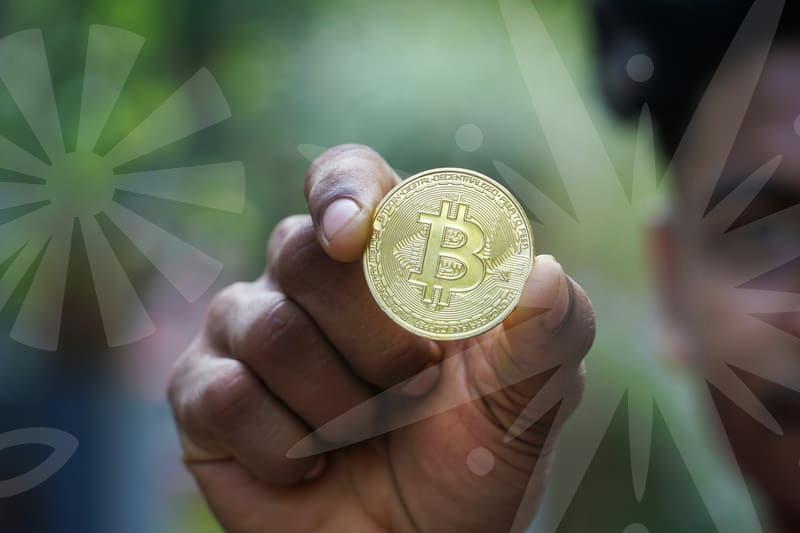 CONY Stock Price: High-Yield Strategy Risks