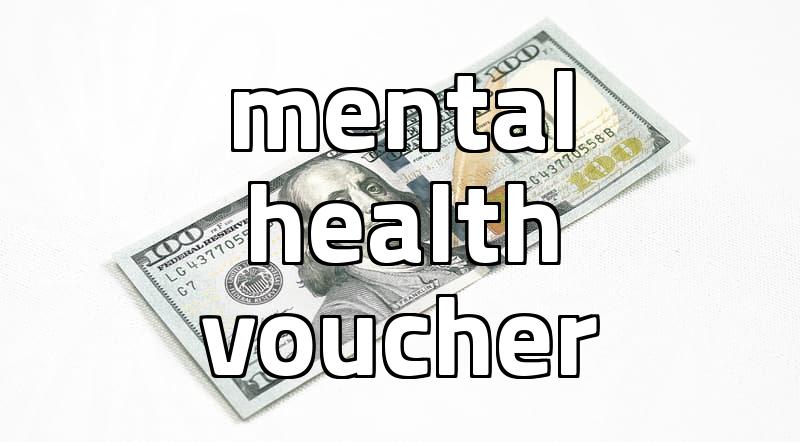 Applying for the mental health voucher felt like a full-time job