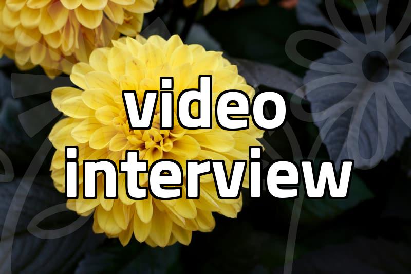 Effective video interview preparation strategies