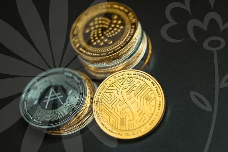 Mastering Your Tech Job Change