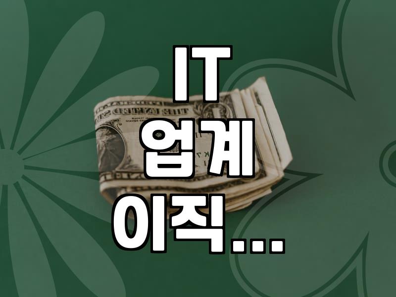 IT 분야 이직 시장의 현재 흐름과 준비 과정 살펴보기
