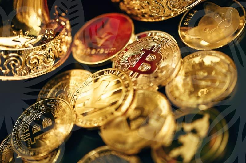 Your Roadmap to a Successful Tech Career Transition