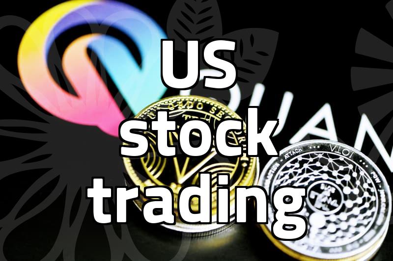 The Reality of US Stock Trading: Beyond the Hype of Global Portfolios