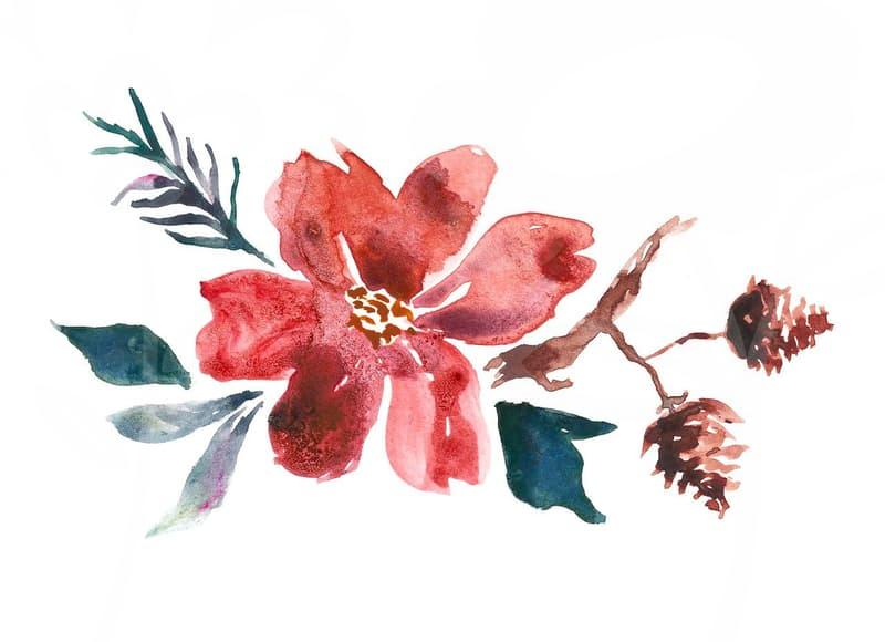 SNS Marketing with Visual Content