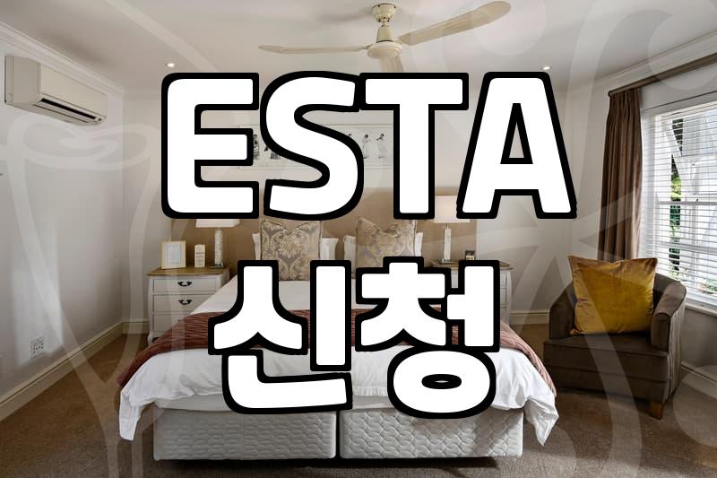 미국 ESTA 신청할 때 주의해야 할 점과 실질적인 준비 과정