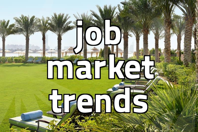 Checking the job boards felt like watching a slow-motion collapse