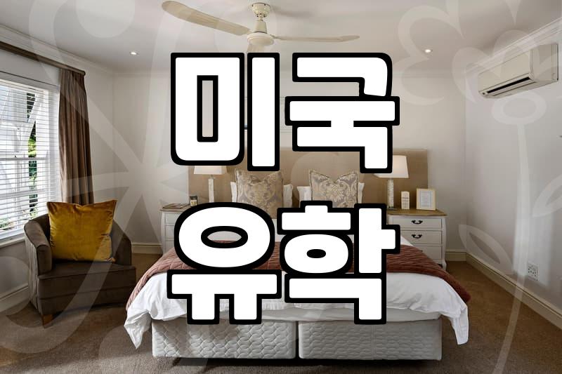 미국 유학 준비 시 마주하게 되는 영어 에세이 현실