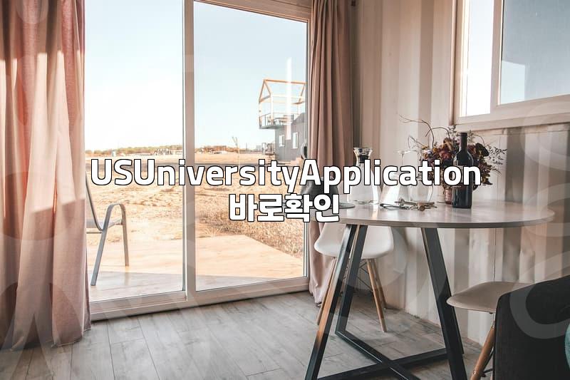 Navigating the US University Application Process