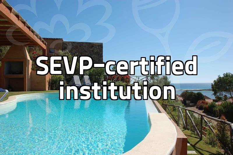 USA Student Visa: Essential Application Steps