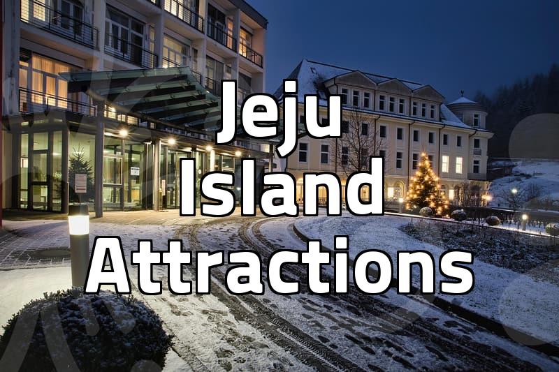 Navigating Jeju Exhibitions: More Than Just Pretty Pictures