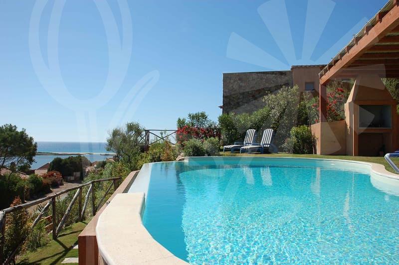 US State University visa choices