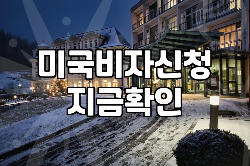 B1/B2 비자, 대행업체 없이 직접 신청해 본 후기 (feat. 예상치 못한 결과)