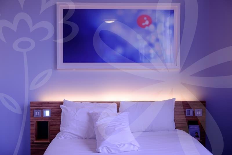 CanAm EB-5 review before you invest