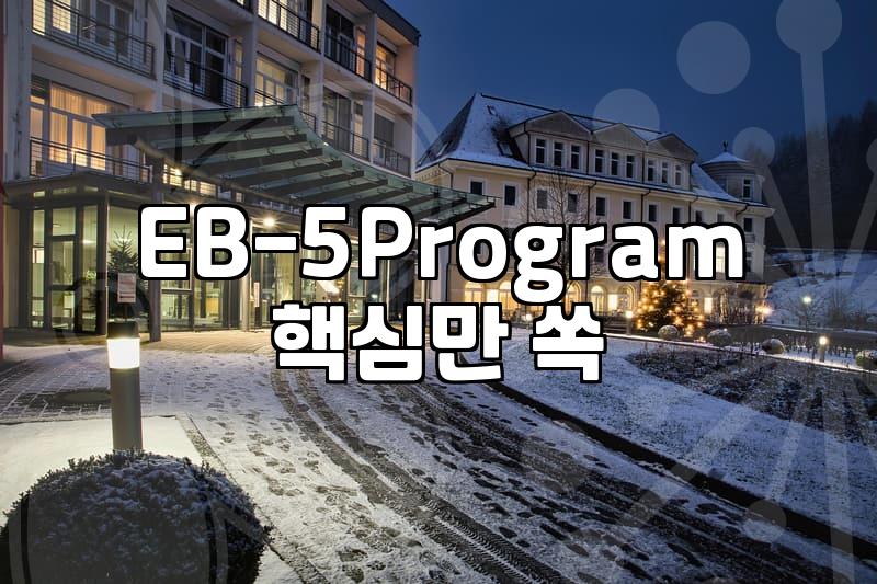 US Investor Visa: Key Considerations Before You Invest