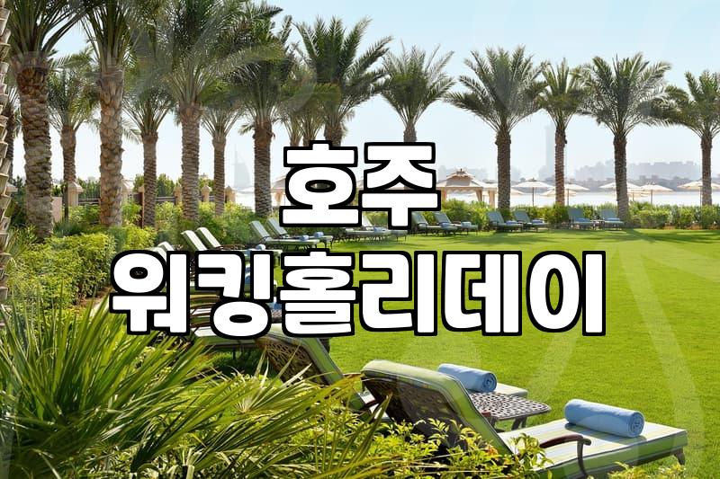 호주 워킹홀리데이 연령 상향과 준비 과정에서 마주하는 현실