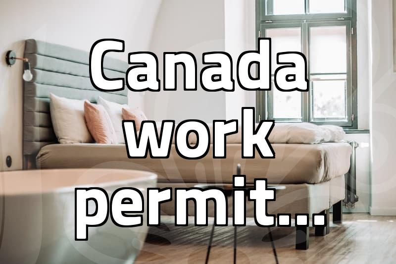 I forgot my work permit on a quick trip to the US border