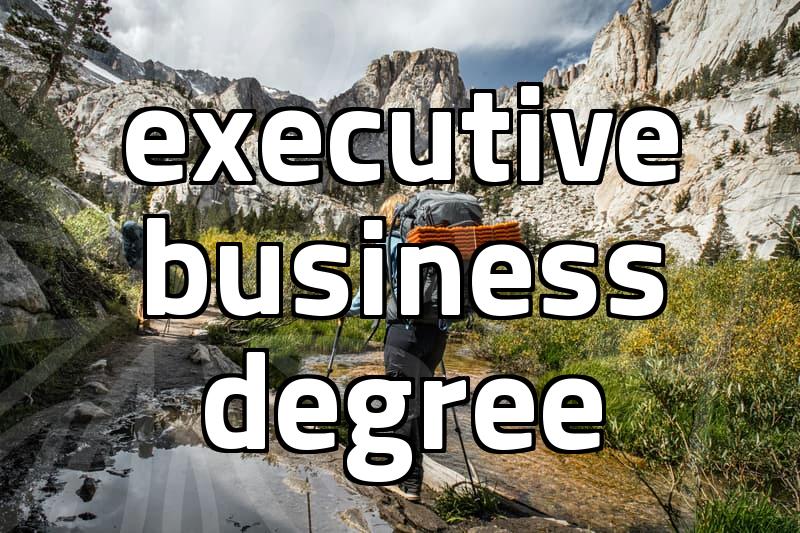 Aalto University MBA program requirements and duration