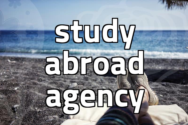 Agency consulting processes and service fees