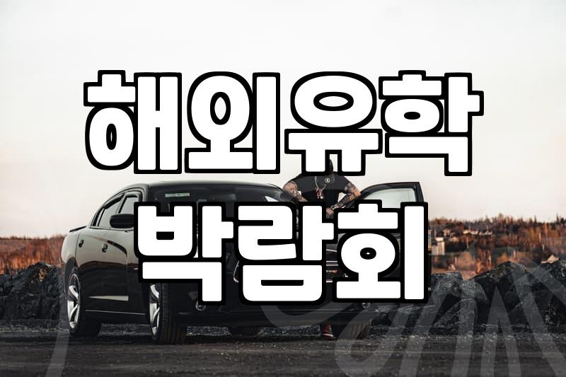 실제 유학 박람회와 컨설팅 활용할 때 알아두면 좋은 점들