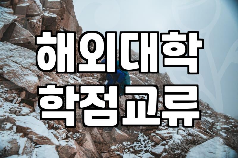 교환학생 준비할 때 놓치기 쉬운 현실적인 체크리스트