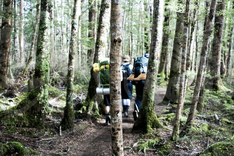 Beginner English Vocabulary Core