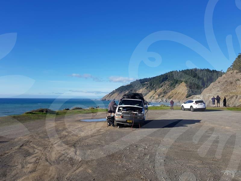 Australian Vet School Pathways