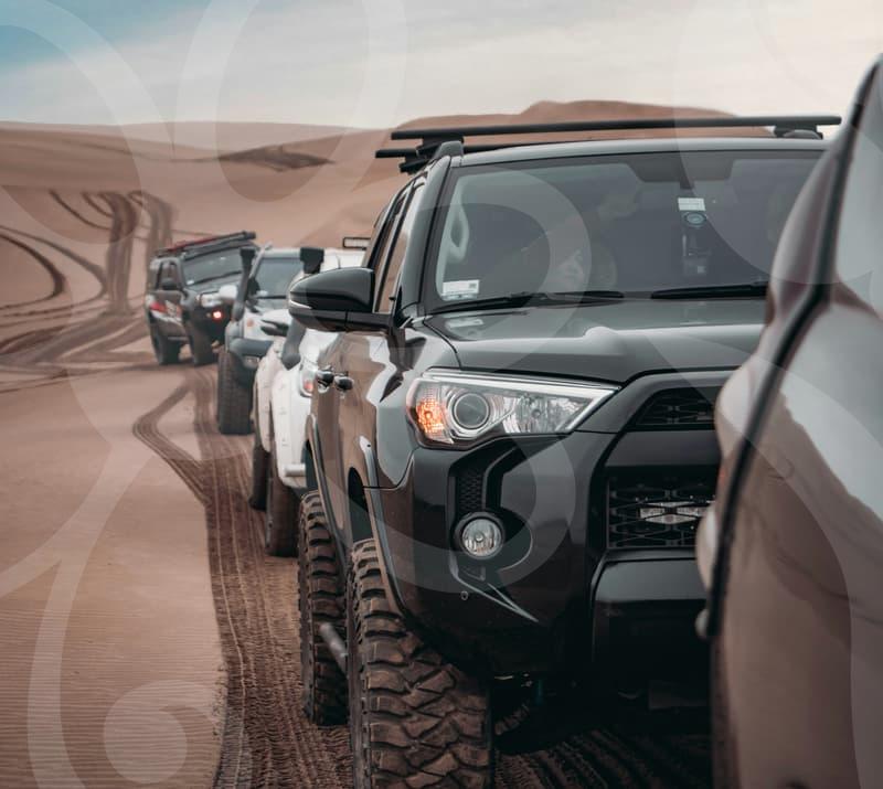 Language study abroad opportunities