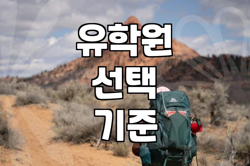 Understanding the Role of Study Abroad Consultants in Managing Educational Risk