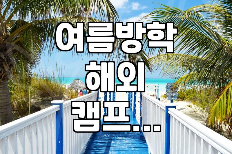 여름방학 해외 영어캠프를 고를 때 확인해야 할 실질적인 조건들