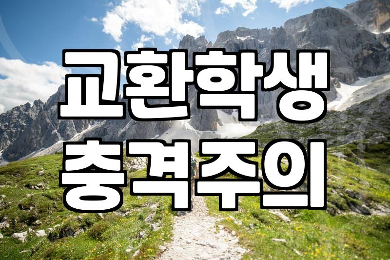 Finding the Right Study Abroad Agency: What to Look For